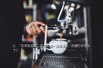 3、“五洋汾古郎”五大名酒一窩蜂漲價(jià)，白酒行業(yè)怎么了？