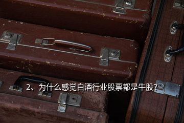 2、為什么感覺白酒行業(yè)股票都是牛股？