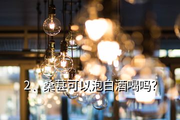 2、桑葚可以泡白酒喝嗎？