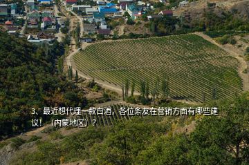 3、最近想代理一款白酒，各位條友在營銷方面有哪些建議！（內(nèi)蒙地區(qū)）？