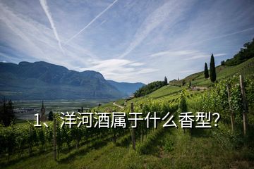 1、洋河酒屬于什么香型？