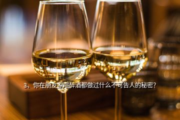 3、你在朋友家喝醉酒都做過什么不可告人的秘密？