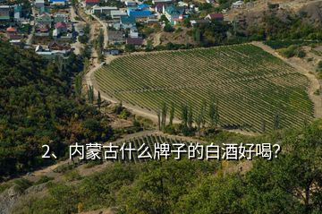 2、內(nèi)蒙古什么牌子的白酒好喝？