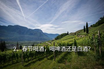 2、春節(jié)喝酒，喝啤酒還是白酒？