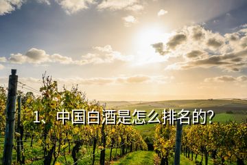 1、中國白酒是怎么排名的？