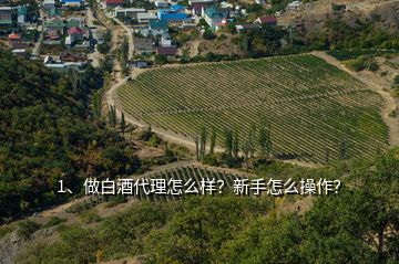 1、做白酒代理怎么樣？新手怎么操作？