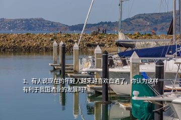 3、有人說現(xiàn)在的年輕人越來越喜歡白酒了，你認(rèn)為這樣有利于我國酒業(yè)的發(fā)展嗎？