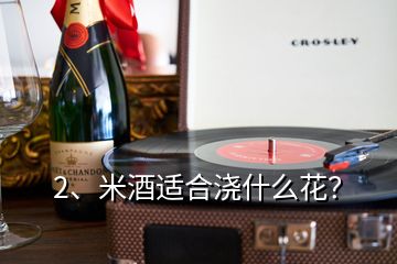 2、米酒適合澆什么花？