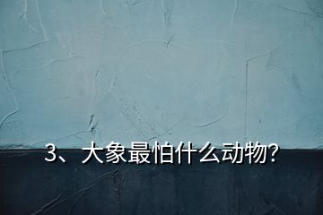 3、大象最怕什么動物？