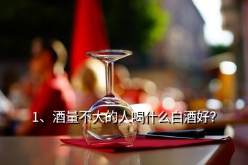 1、酒量不大的人喝什么白酒好？