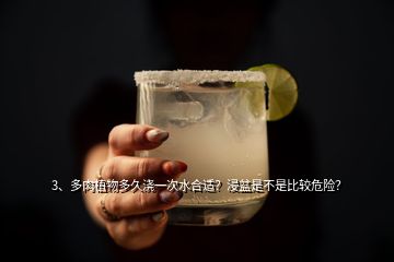 3、多肉植物多久澆一次水合適？浸盆是不是比較危險(xiǎn)？