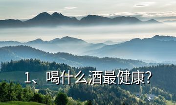 1、喝什么酒最健康？