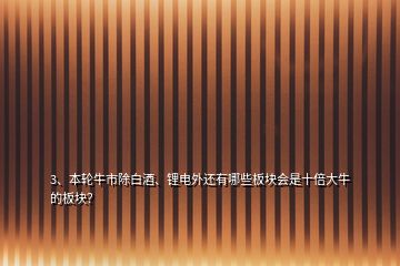 3、本輪牛市除白酒、鋰電外還有哪些板塊會(huì)是十倍大牛的板塊？