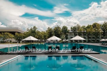 1、為什么河南消耗這么多白酒，卻沒有一個白酒品牌？