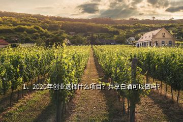 1、2020年創(chuàng)業(yè)選擇什么項(xiàng)目？共享白酒可以做嗎？