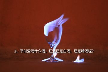 3、平時愛喝什么酒，紅酒還是白酒，還是啤酒呢？