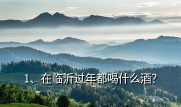 1、在臨沂過年都喝什么酒？