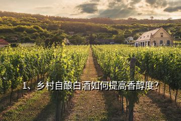 1、鄉(xiāng)村自釀白酒如何提高香醇度？
