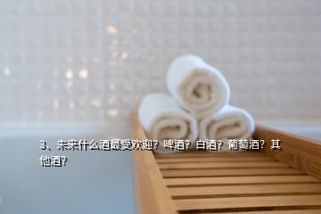 3、未來什么酒最受歡迎？啤酒？白酒？葡萄酒？其他酒？