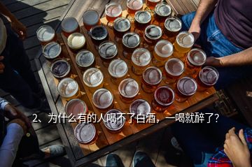 2、為什么有的人喝不了白酒，一喝就醉了？