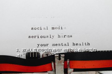 3、歐洲人喜歡中國白酒嗎？他們怎么看待中國白酒？