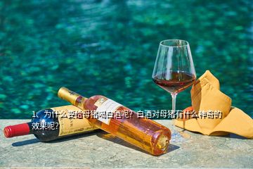 1、為什么要給母豬喝白酒呢？白酒對(duì)母豬有什么神奇的效果呢？
