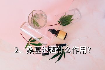 2、桑葚泡酒什么作用？
