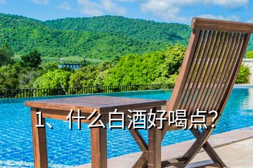 1、什么白酒好喝點？