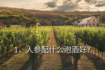 1、人參配什么泡酒好？