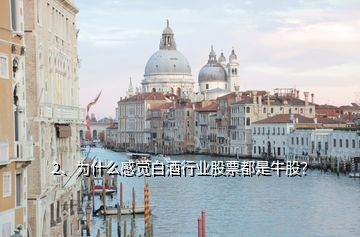 2、為什么感覺白酒行業(yè)股票都是牛股？