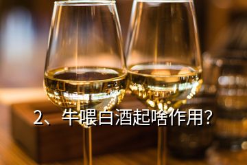 2、牛喂白酒起啥作用？