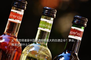 3、你覺得誰是中國釀酒規(guī)模最大的白酒企業(yè)？茅臺、五糧液還是什么？