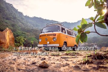 3、新款白酒上市，如何做市場(chǎng)，如何推廣，比如促銷活動(dòng)什么的，請(qǐng)大神指教？