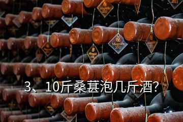 3、10斤桑葚泡幾斤酒？