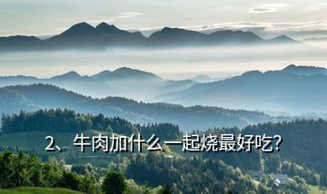 2、牛肉加什么一起燒最好吃？