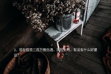 2、現(xiàn)在投資二百萬做白酒，風(fēng)險(xiǎn)大嗎，有沒有什么好建議？