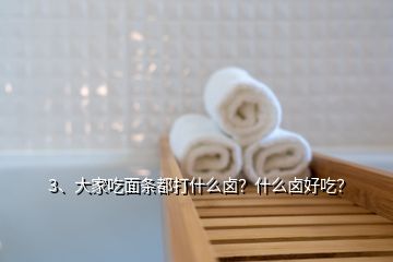 3、大家吃面條都打什么鹵？什么鹵好吃？