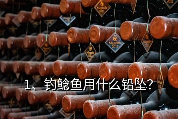 1、釣鯰魚用什么鉛墜？