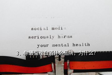 3、你最喜歡白酒什么品牌，為什么？