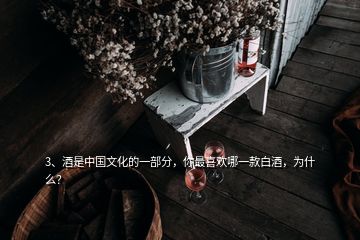 3、酒是中國文化的一部分，你最喜歡哪一款白酒，為什么？