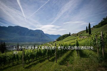 1、為什么很多老人愛(ài)喝白酒？老年人適當(dāng)喝白酒有好處嗎？