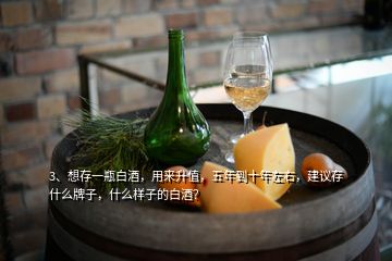 3、想存一瓶白酒，用來升值，五年到十年左右，建議存什么牌子，什么樣子的白酒？
