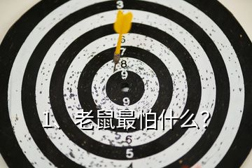 1、老鼠最怕什么？