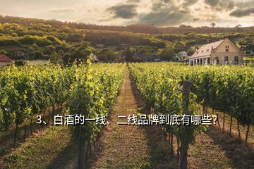 3、白酒的一線、二線品牌到底有哪些？