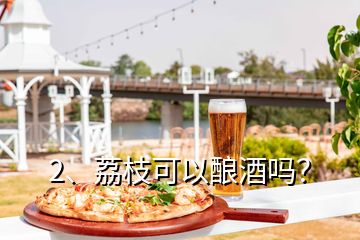 2、荔枝可以釀酒嗎？