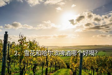 2、雪花和哈爾濱啤酒哪個好喝？