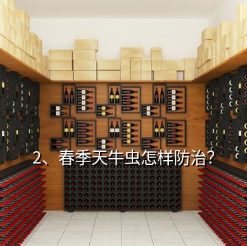 2、春季天牛蟲怎樣防治？
