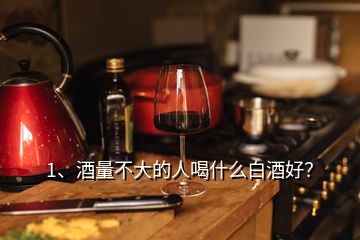1、酒量不大的人喝什么白酒好？