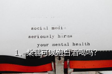 1、桑葚可以泡白酒喝嗎？