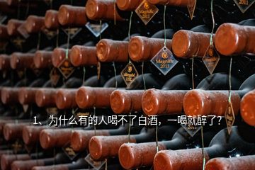 1、為什么有的人喝不了白酒，一喝就醉了？